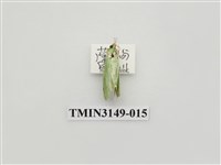 藏品(螟蛾300)的圖片